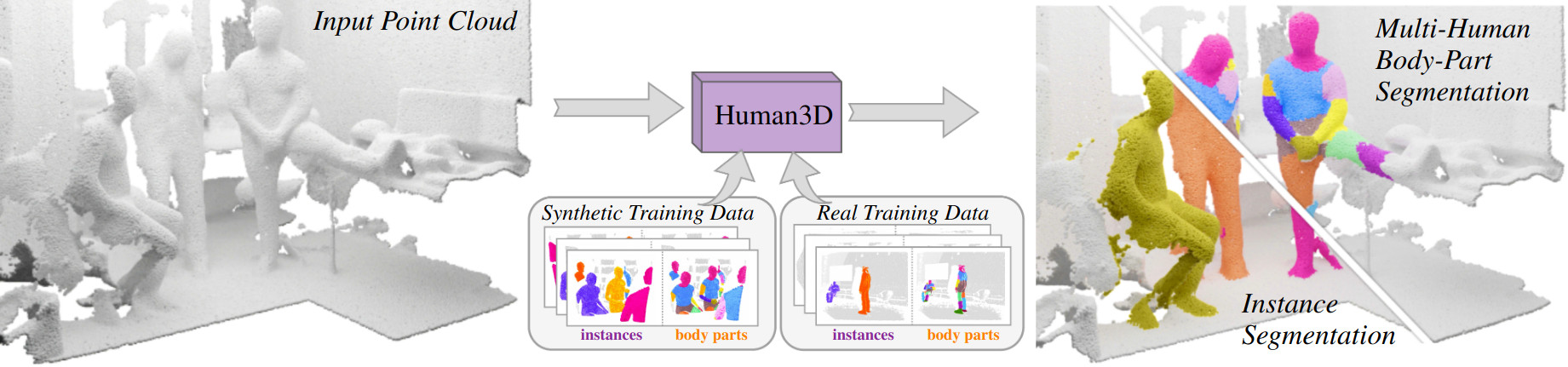 Human3D-3D-Segmentation-of-Humans-in